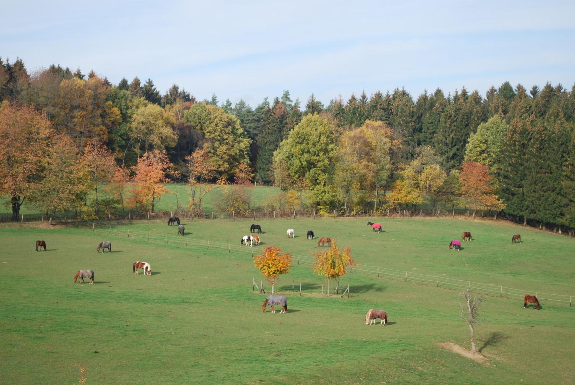 Stoeltings Landhaus Wiehl Bagian luar foto