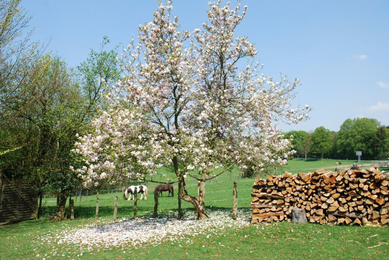 Stoeltings Landhaus Wiehl Bagian luar foto